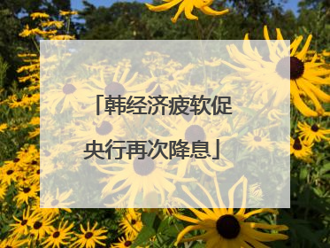 韩经济疲软促央行再次降息